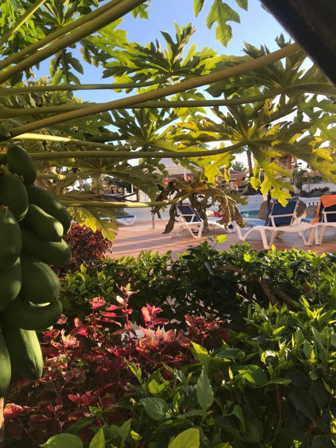 Apartamento Las Vistas Beach - Tenerife Royal Gardens Playa de las Americas  Exteriér fotografie